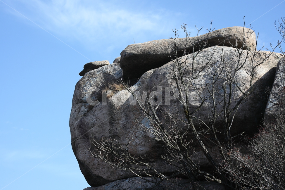 금산,바위,남해,rock,한려해상국립공원,자연풍경,남해금산,자연,풍경,nature,landscape