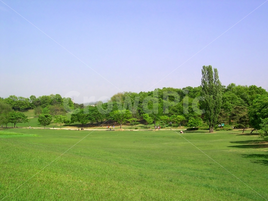 풍경,올림픽공원,공원,잔디밭,나무,숲,landscape,자연,풍경,nature,landscape,grass,잔디,plant,식물,outdoors,옥외,field,들