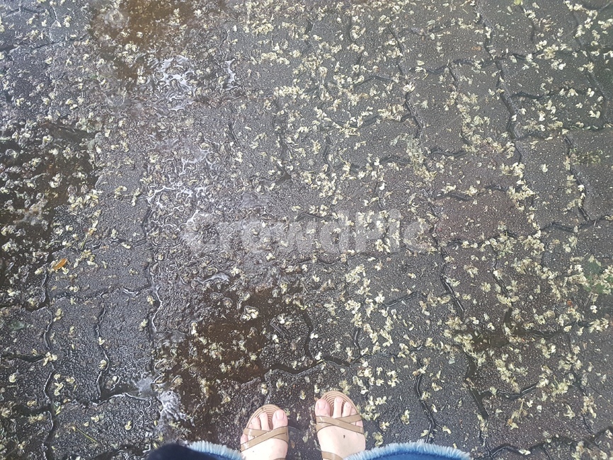 비오는날,습도,장마,샌들,바닥,비,비오는날,rain,rainy
