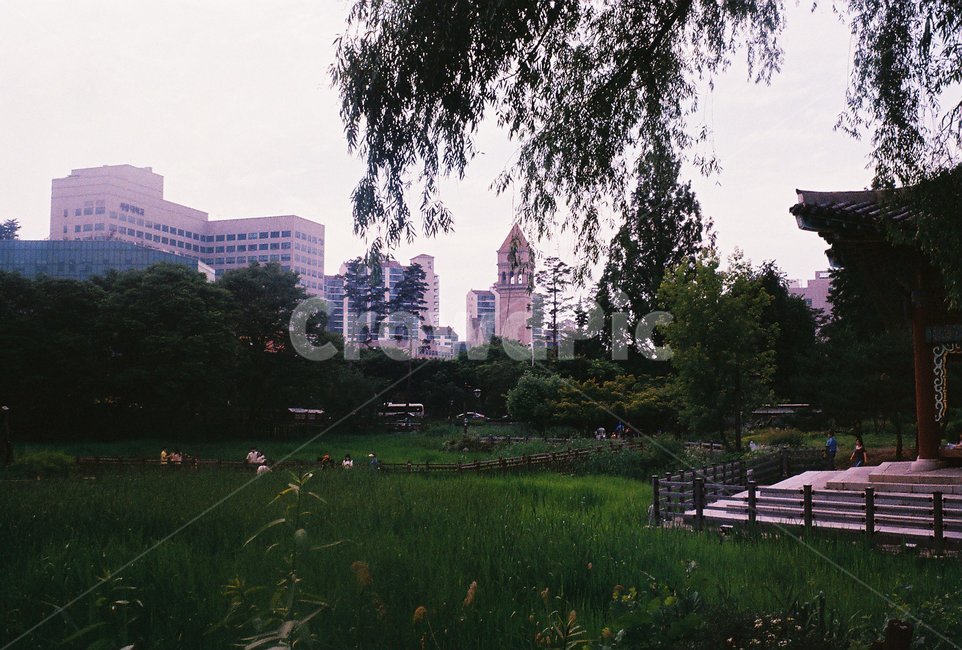 도시,시티,city,풍경,scenery,경치,landscape,자연,nature,town,urban,어반,건물,building,중심지,metropolis,옥외,outdoors,필름,film,필름사진,석양,노을,sunset,plant,식물,grass,잔디,도시,풍경,city,landscape,한국도시풍경,한국도시경관,korea cityscape