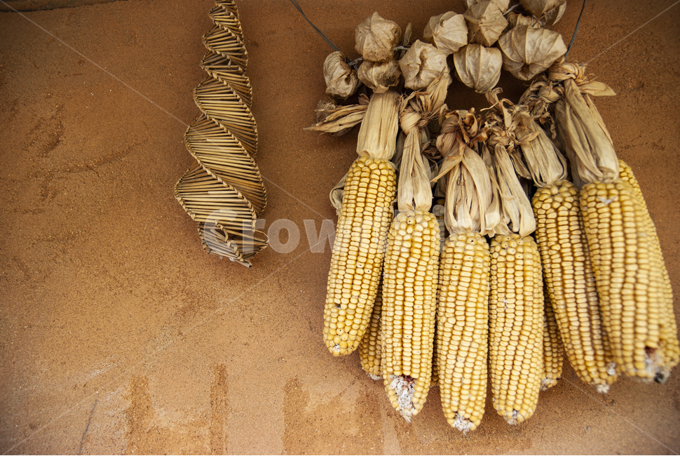 옥수수,말리기,말린,옛날집,흙집,황토집,곡식,광주리,소쿠리,시골,풍경,driedcorn,초가집,흙벽,황토벽,시골,마을,풍경,landscape,country,rural,town
