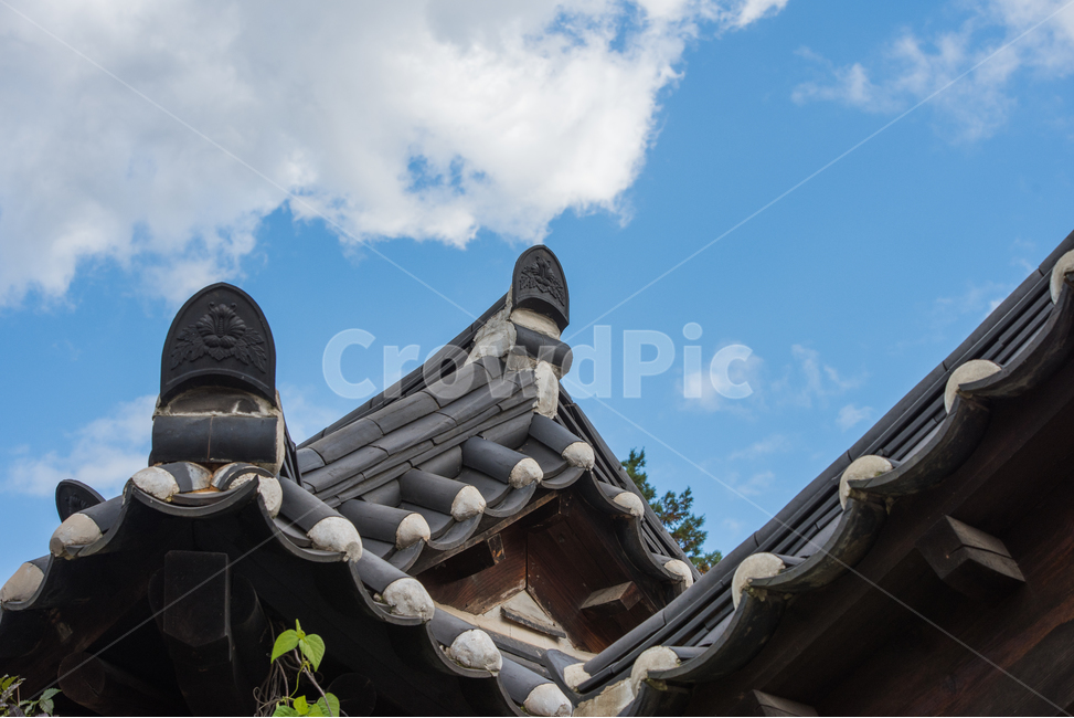 하늘,기와,파란하늘,전통가옥,지붕,roof,한국전통,한국문화,korean traditional,korean culture,건축물,건물외관,exterior,building,structure,architecture,construction