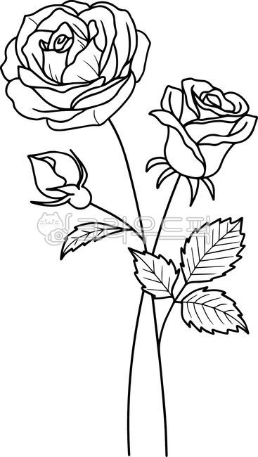 6월,장미,탄생화,꽃,꽃그림,꽃일러스트,그림,타투도안,문신,드로잉,타투디자인,타투,생일,플로랄디자인,꽃디자인,벡터,식물,라인,라인드로잉,라인아트,라인일러스트,선일러스트,선그림,식물그림,flower,plant,rose