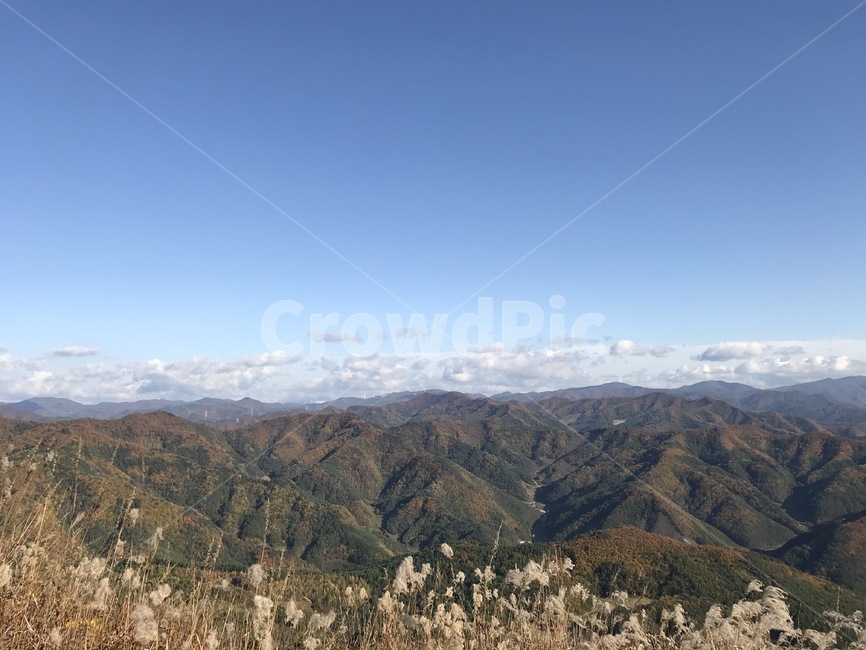 산,민둥산,억새,가을,하늘,파란하늘,강원도,등산,가을하늘,가을,계절,fall,autumn,season,자연,풍경,nature,landscape,한국자연풍경,한국자연경관,korea nature landscape,outdoors,옥외,mountain,mountain range,산맥