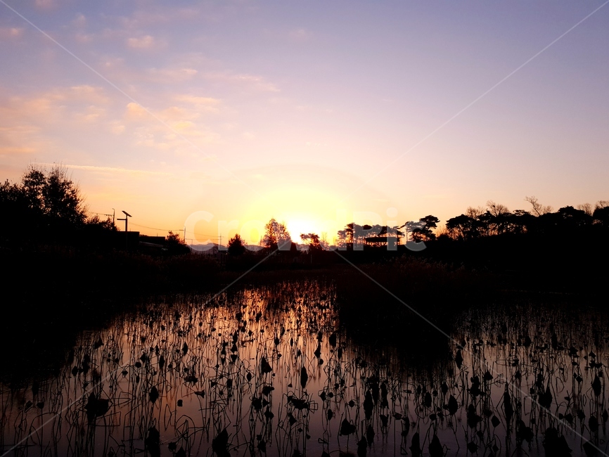 일출,호수,풍경,청둥오리,하늘,nature,자연,outdoors,옥외,land,땅,sunset,일몰,red sky,붉은 하늘,sky,dusk,황혼,dawn,새벽