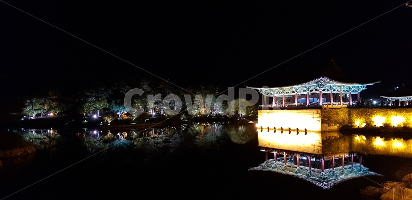 안압지,동궁과월지,조명,반사,경주,나무,야경,야경,밤,풍경,nightscape,night,landscape,한국전통,한국문화,korean traditional,korean culture,랜드마크,landmark,tourist attraction,한국랜드마크,한국관광지,한국명소,korea landmark,korea tourist attraction,건축물,건물외관,exterior,building,structure,architecture,construction