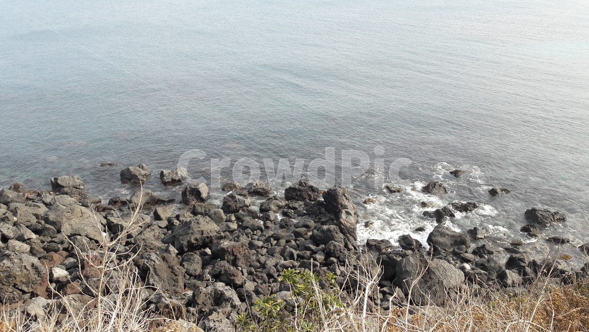바다,현무암,흐린바다,겨울바다,제주도