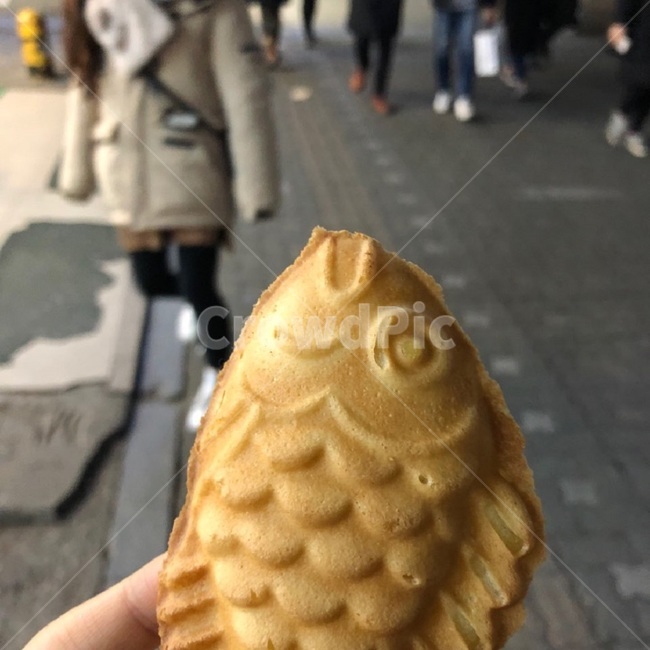 붕어빵,겨울,물고기,빵,겨울간식,간식,한국전통,먹거리,팥,슈크림,붕어,겨울,계절,winter,season,음식,식재료,요리,food,cook,meal,dishes,food reserves,디저트,간식,후식,dessert,snack