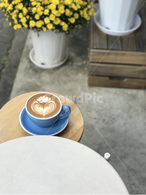 커피,라떼아트,장미,장미꽃,커피아트,카페라떼,coffee,latteart,rose,coffeeart,cafelatte,음료수,drink,beverage,커피,카페,coffee,cafe