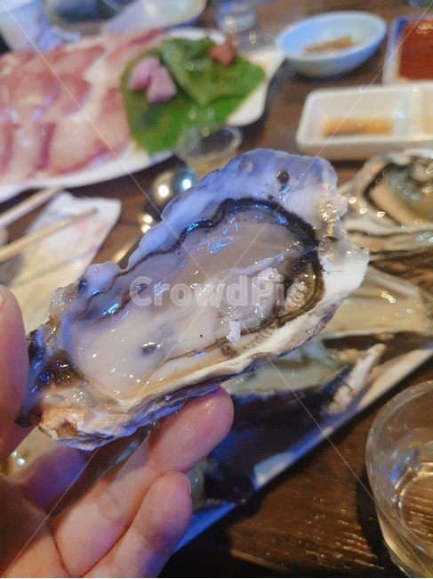 굴,해산물,회,석화,반각