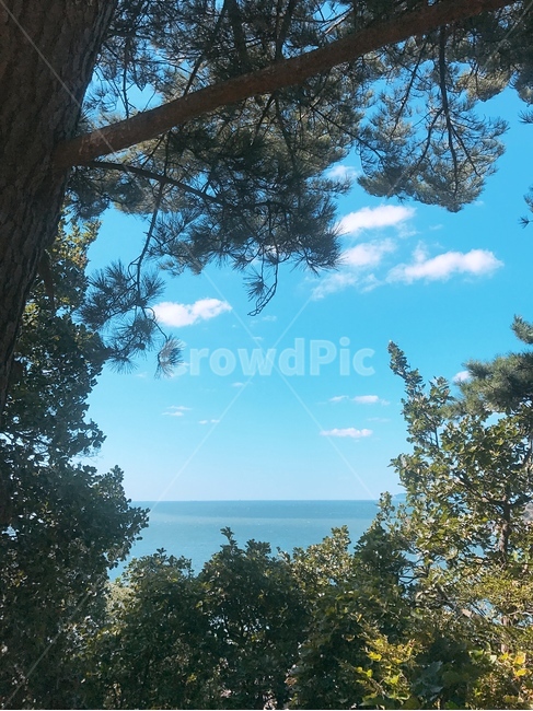 산,바다,자연,나무,맑은하늘,하늘,풍경,자연,풍경,nature,landscape,tree,plant,식물