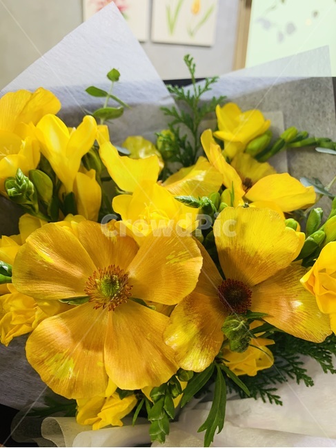 plant,식물,꽃,flowerarrangement,꽃꽂이,flowerbouquet,꽃부케,flower,꽃다발