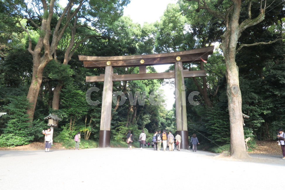 도쿄,일본,메이지신궁,산사,절,풍경