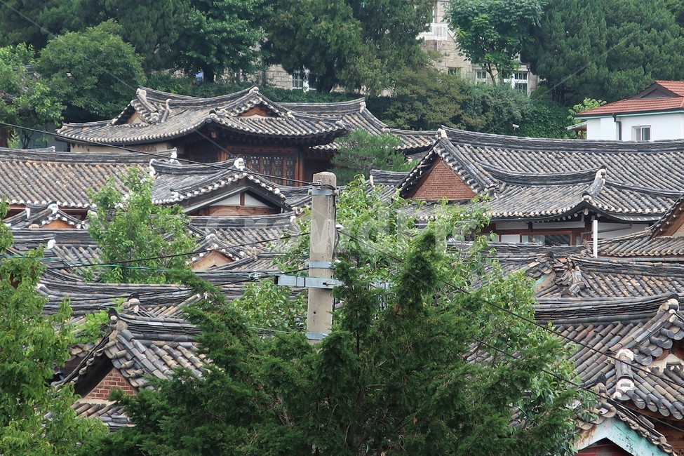 한국,대한민국,집,서울,전통,빈티지,한옥,북촌,디자인,창문,창호,건축,건축물,동양,문화,스타일,목재,주택,기와,마루,툇마루,난간,지붕,장독,장독대,처마,돌담,디딤돌,고풍,주춧돌,보존,보호,남산골,구조,전통미,가옥,한국전통,한국문화,korean traditional,korean culture,건축물,건물외관,exterior,building,structure,architecture,construction