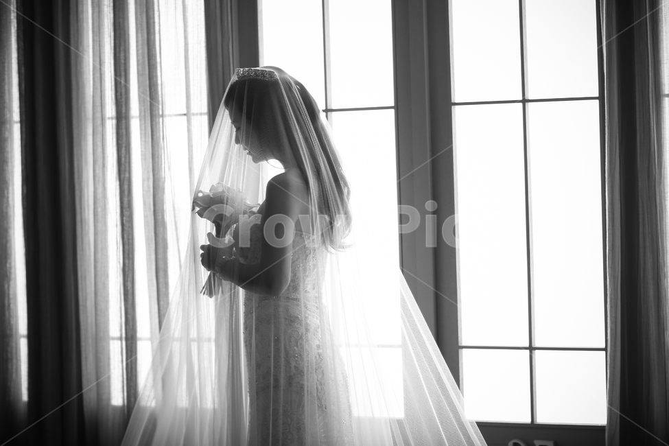 베일,웨딩촬영,부케,웨등드레스,티아라,사람,인물,인간,human,person,여성,여자,woman,female,lady,결혼,혼례,웨딩,wedding,marriage,marry,흑백,모노톤,monochrome,black and white