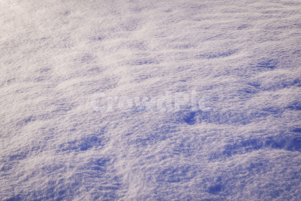눈,겨울,snow,함박눈,추위,snowy,눈꽃,눈길,크리스마스,winter,겨울,계절,winter,season,감성,sensible,feeling