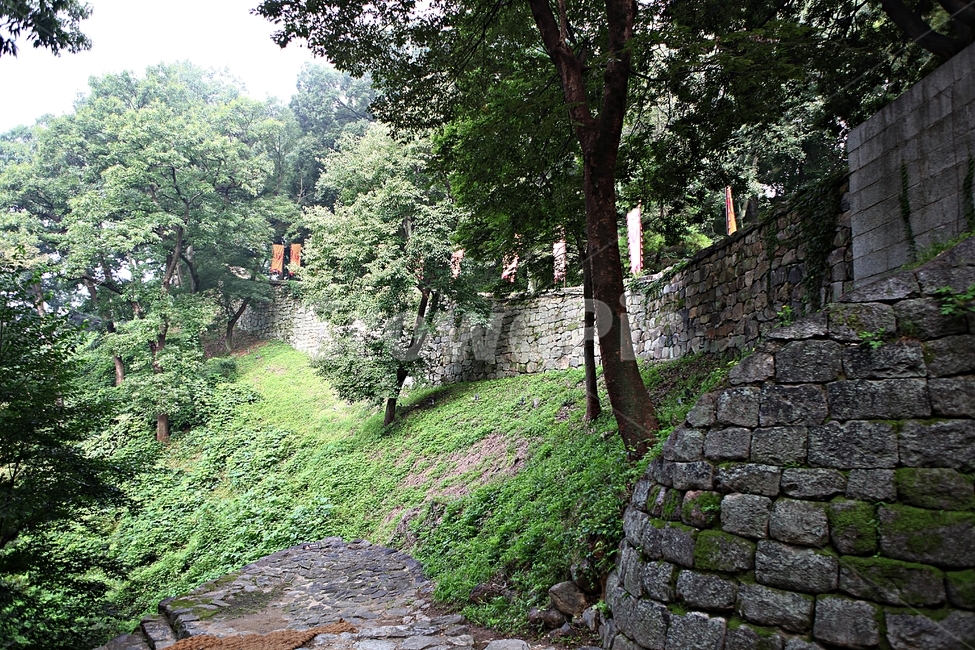 공주산성,산성,성,성곽,길,둘레길,숲,숲길,안개,담,돌담,여름,풍경,흙담,나무,식물,유네스코등제