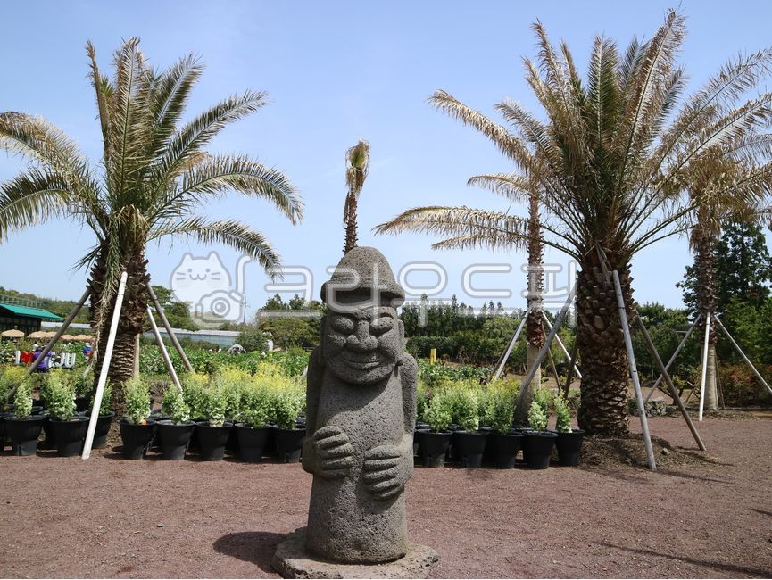 돌하르방,하르방,제주돌하르방,제주도,돌,outdoors,garden,정원,nature,야자수,나무