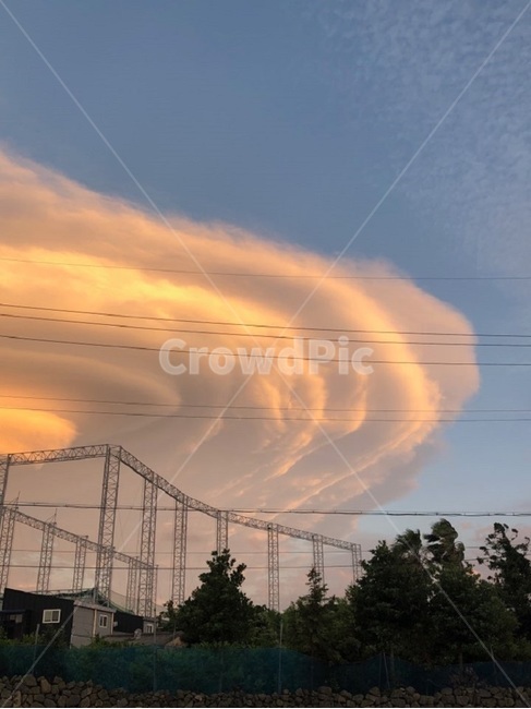 구름,휘핑크림,노을,하늘,cloud,나무