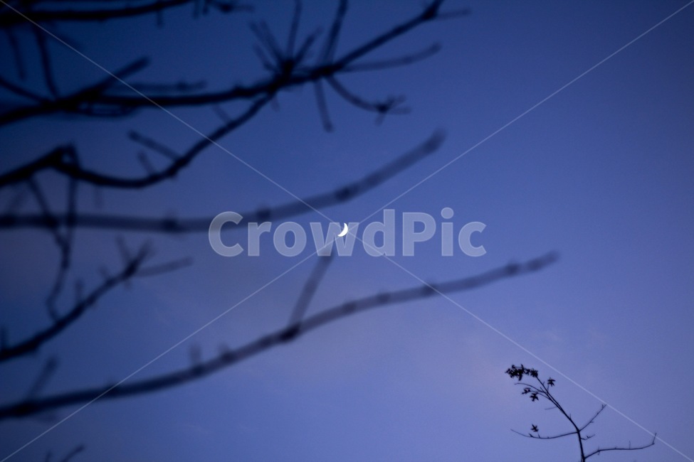 초승달,밤하늘,어둠,공포,차가운,달,자연,moon,sky,night,dark,fear,nature,야경,밤,풍경,nightscape,night,landscape,outdoors,옥외