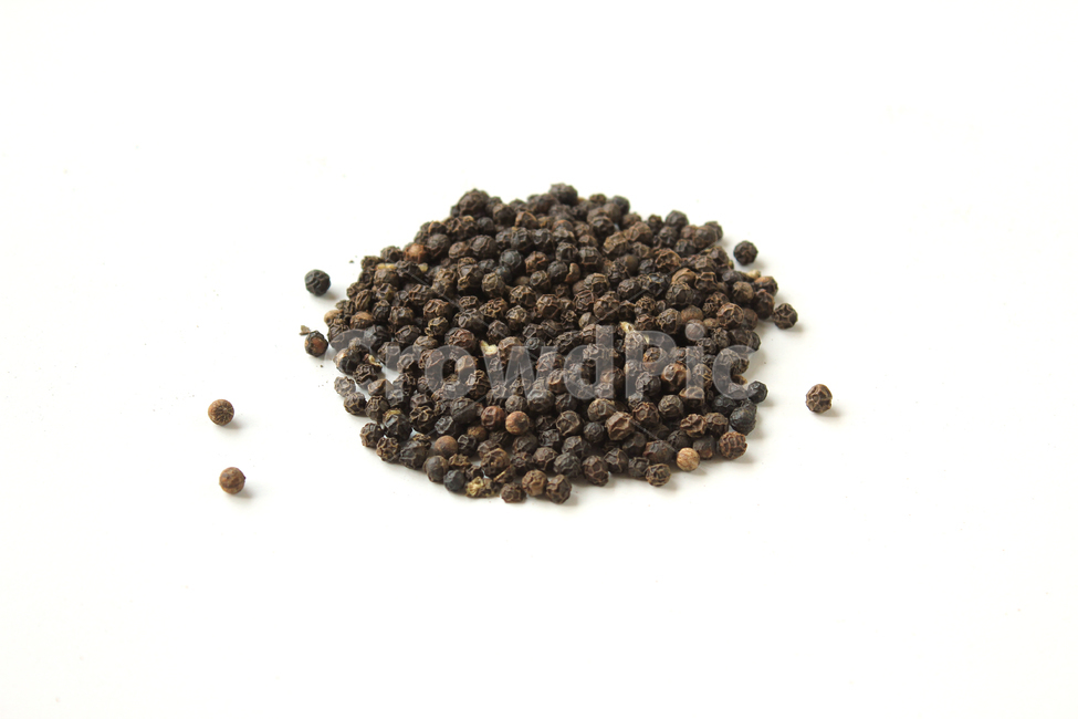 black,brown,cooking,dry,food,glass,gourmet,pepper,peppercorn,seeds,spice,spicy,white,검은색,검정,갈색,브라운,요리,음식재료,음식,후추,후추가루,향신료,매운,식재료,탑앵글,탑뷰,덩어리,모으다,모으기,모아놓은,더미,많은,흰배경,통후추,음식,식재료,요리,food,cook,meal,dishes,food reserves,콩류,견과류,beans,pulse,nuts,dry fruits,누끼,remove background