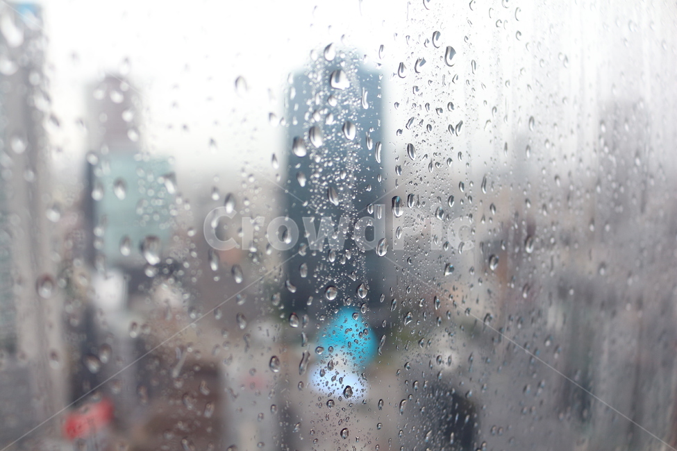 비,빗방울,물방물,창문,비오늘날,비,비오는날,rain,rainy