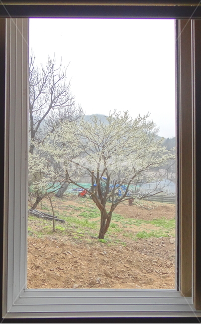 시골,액자,풍경,감성사진,나무,자연,풍경사진,산,country,액자만들기,sky,mountain,nature,하늘,tree,자연,풍경,nature,landscape,home decor,가정 장식,plant,식물