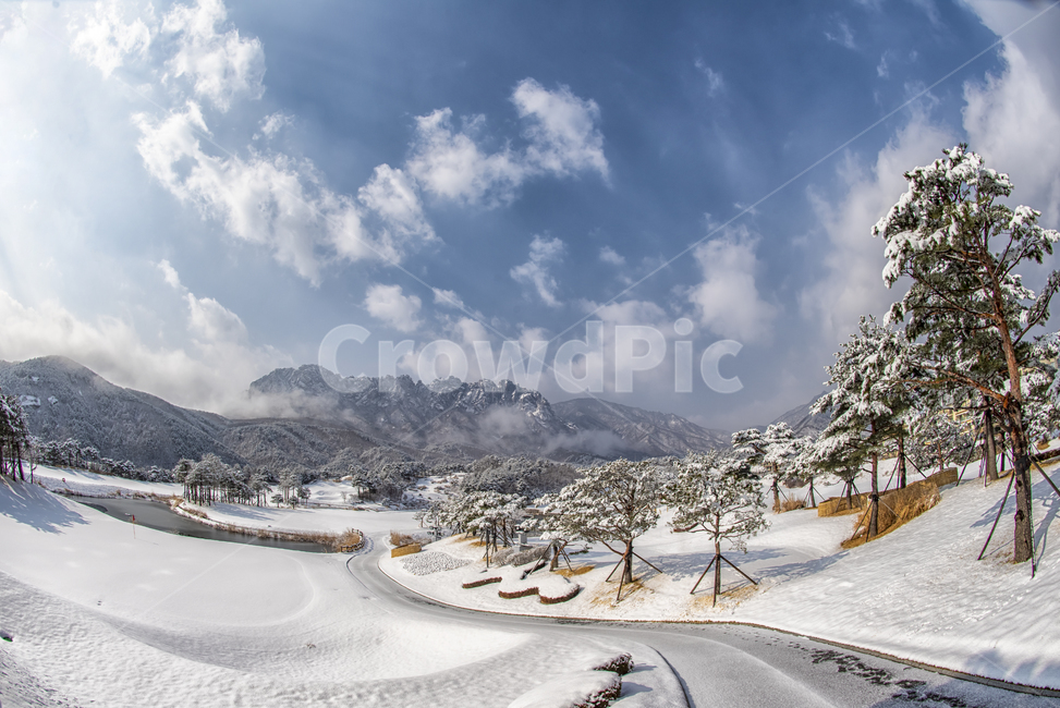 설악산,울산바위,골프장,델피노cc,설경,흰눈,겨울,계절,winter,season,자연,풍경,nature,landscape