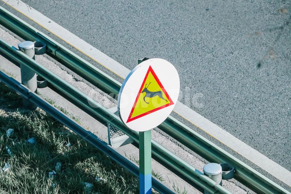 사슴,표지판,안내표지판,sign,도로,road,deer