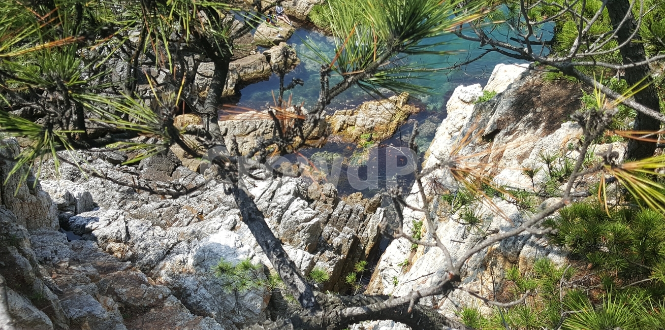 나무사이,바위사이,물,바다,오아시스,자연,풍경,nature,water,자연,풍경,nature,landscape,land,땅,outdoors,옥외