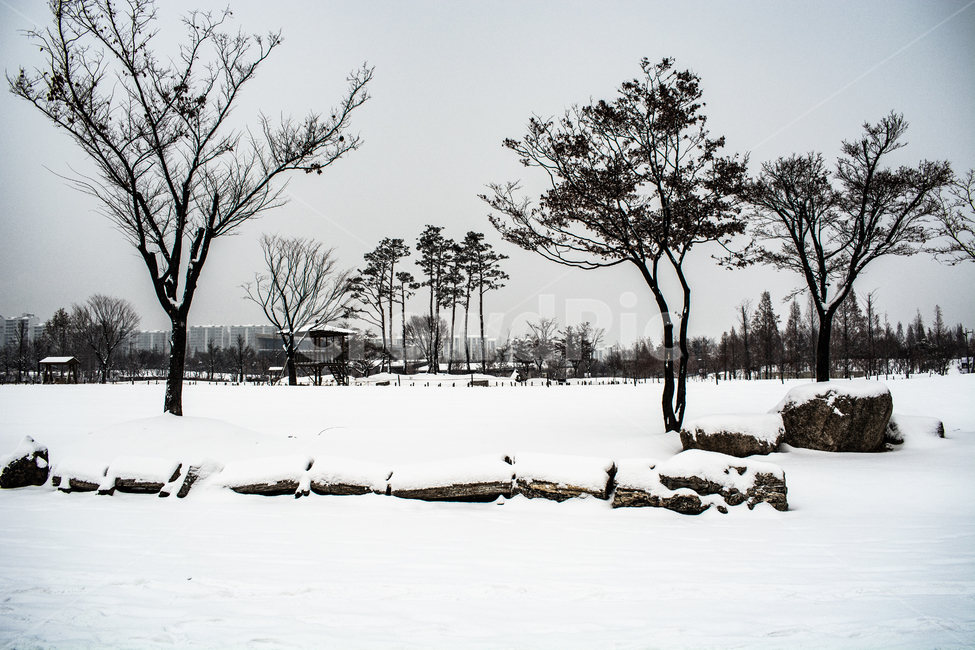 눈발,흰눈,백설,겨울풍경,눈길,겨울,계절,winter,season,자연,풍경,nature,landscape,outdoors,옥외