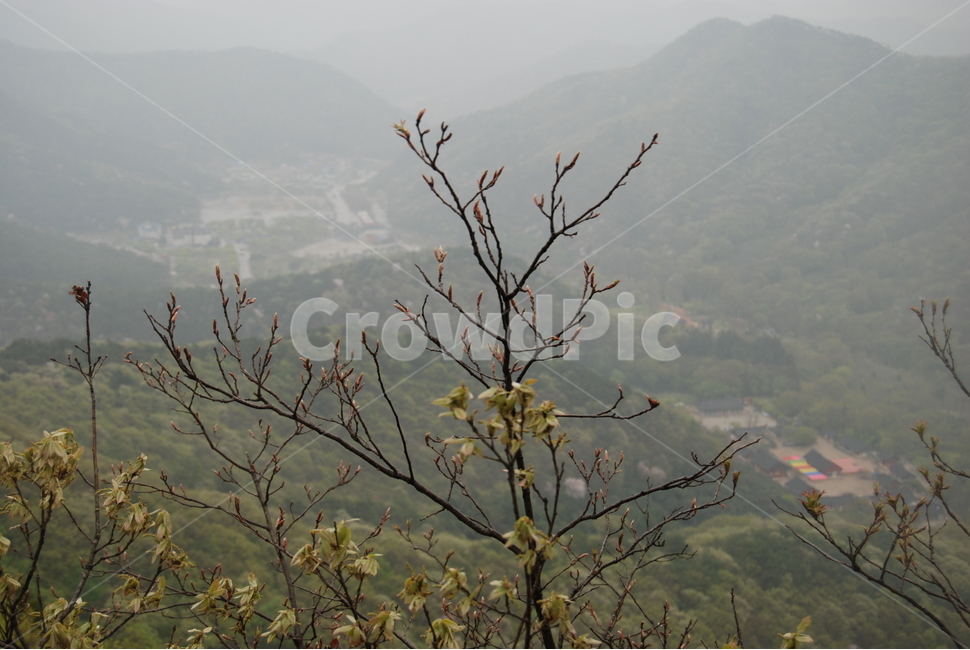 선운산,수리봉,고창군,도립공원,명산,자연,풍경,nature,landscape,outdoors,옥외