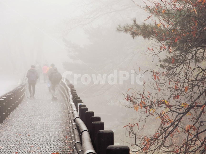 산안개,가을산,가을산행,안개낀산,아침산행,nature,자연,가을,계절,fall,autumn,season