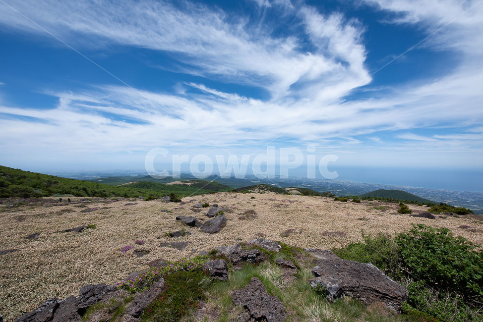 제주도,한라산,어리목코스,만세동산,오름군락,제주도,jeju,jeju island,nature,자연,outdoors,옥외,ground,바닥,land,땅