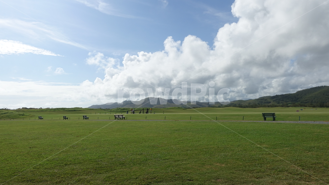 자연,nature,말,horse,animal,벌판,field,grass,green,초원,벤치,구름,cloud,초록,지평선,구릉,사낵,잔디,뉴칼레도니아,자연,풍경,nature,landscape