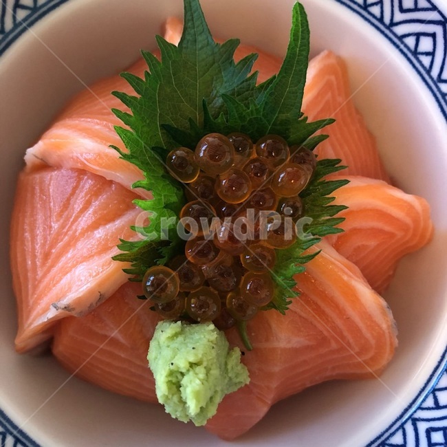 연어,연어덮밥,연어알,해산물,덮밥,일식,초밥,회,사시미,스시,요리,음식,food