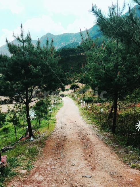 흙길,길,나무,산,하늘,바람개비,하얀색,산책길,풀,자연,시골,시골길,자연,풍경,nature,landscape,식물,plants,나무,trees,wood