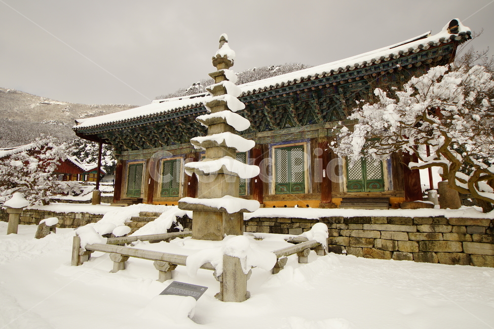 선운사,고창,설경,사찰,풍경,겨울,계절,winter,season,한국전통,한국문화,korean traditional,korean culture,종교,신앙,religion,belief,faith,건축물,건물외관,exterior,building,structure,architecture,construction