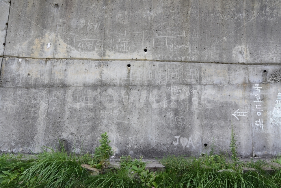 벽,낙서,풀,안내표,낙서금지,wall,scrawl
