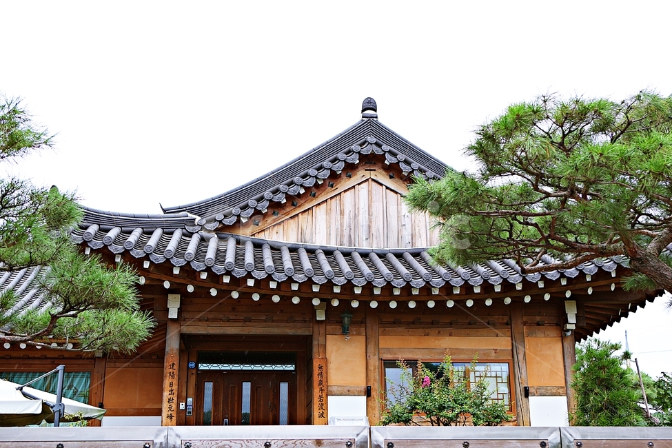 Hanok house,Hanok,nature,plant,sight,tree,tiled house,Dosol Art Museum,house,Art gallery,traditional house