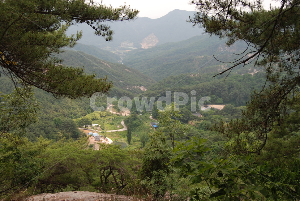 천태산,영국사,남고개,등산로,삼단폭포,자연의위대함,능선,아름다움,신비스런산,돌,산행,힐링,자연,감성,등산,계절,여행,한국,한국명산,한국등산,풍경,눈,나무,하늘,바람,바람소리,환경,생태계,산,땅,자연,풍경,nature,landscape,한국자연풍경,한국자연경관,korea nature landscape,outdoors,옥외