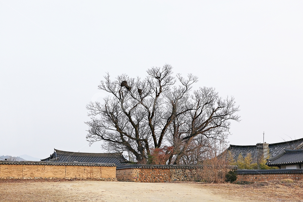 하회마을,안동,한옥,기와집,한옥집,전통집,집,옛날집,자연,풍경,겨울,건물,문화재,한국전통,한국문화,korean traditional,korean culture