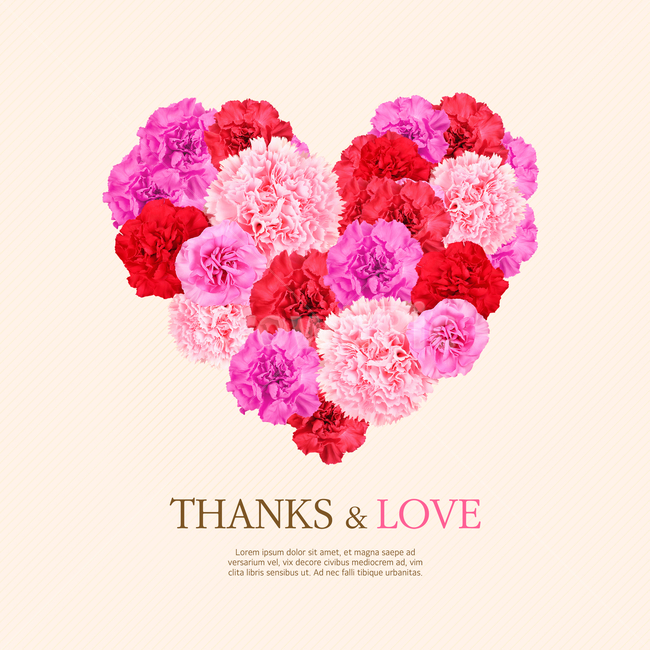 하트,카네이션,꽃,어버이날,기념일,이벤트,팝업,꽃,flower,가족,패밀리,family,감정표현,기분,feeling,emotion,기념일,축하,anniversary,congratulation,celebrate,celebration,그래픽,일러스트레이션,graphic,illustration