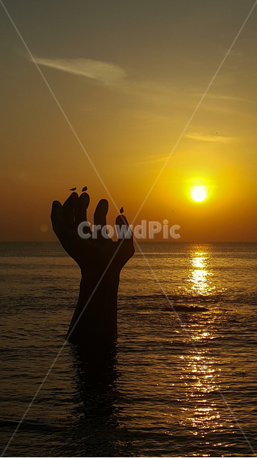 Pohang Attractions,East Sea,East Sea sunrise,sunrise,sea sunrise,hand of coexistence,Sunrise,pohang,Seagull,southkorea,hand