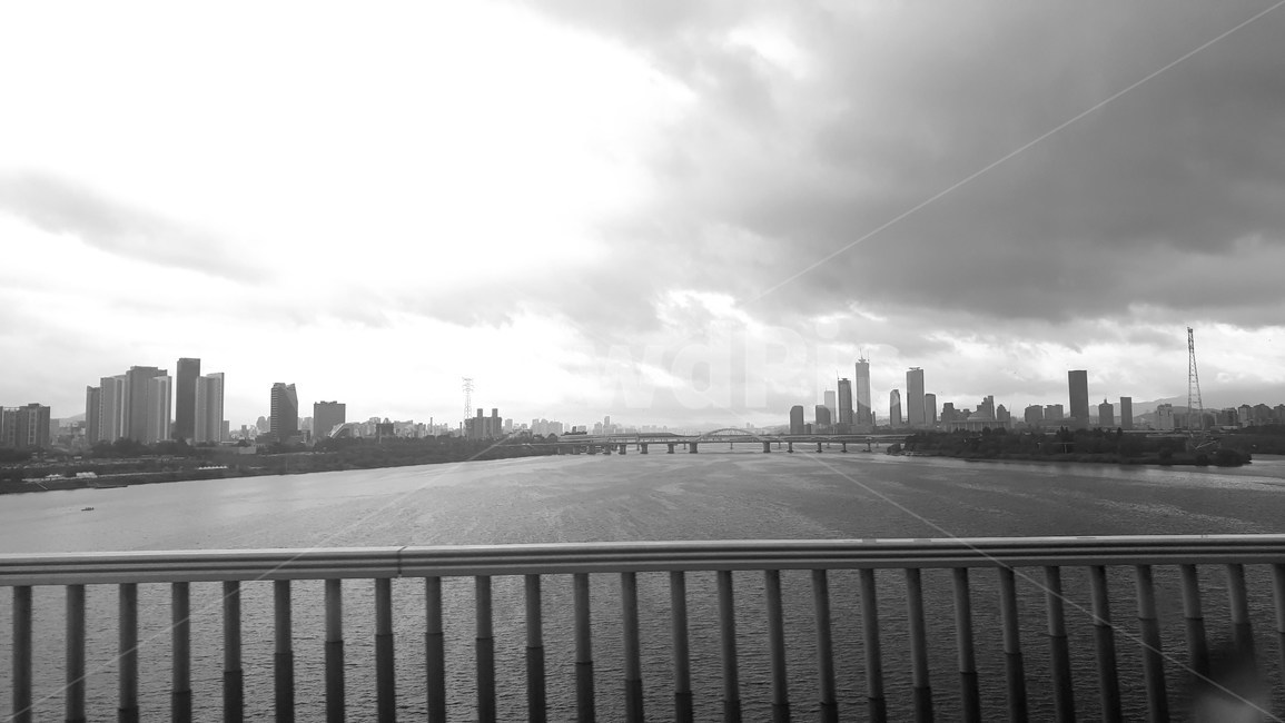 흑백,black,rain,river,비,강
