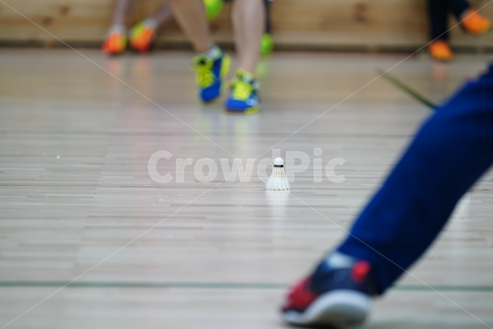 스포츠,배드민턴,운동,셔틀콕,sports,취미,human,인간,person,사람,바닥,sport,스포츠,레저,운동,sports,leisure,exercise