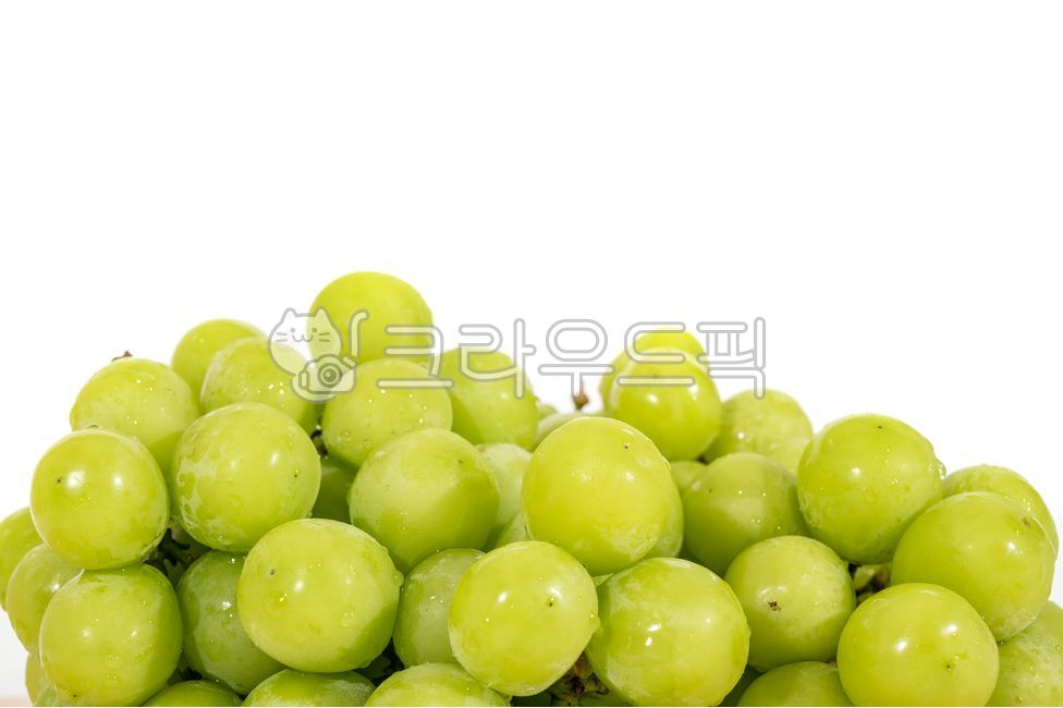 Fresh,Nukki,fruit,white background,No people,inside,fruits,green grape,copy space,ingredients,organic,close up,green,Fruit,bunch of grapes,health,food ingredients,grape,cooking ingredients,food,Shine Muscat,dessert,Shine Musket,autumn,fresh