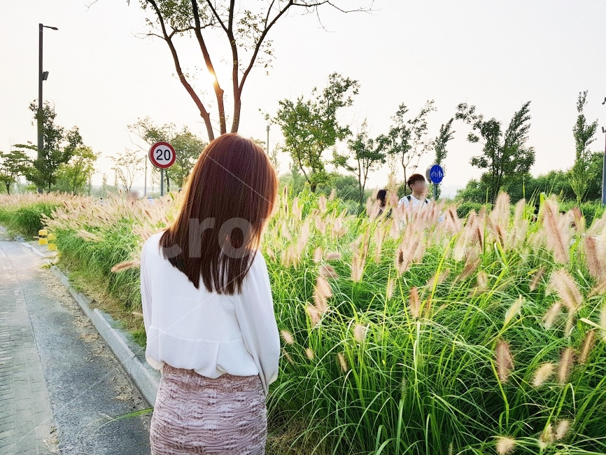 쓸쓸,한강,가을,홀로,강아지풀,휴식,힐링,rest,relaxation,healing,사람,인물,인간,human,person,여성,여자,woman,female,lady
