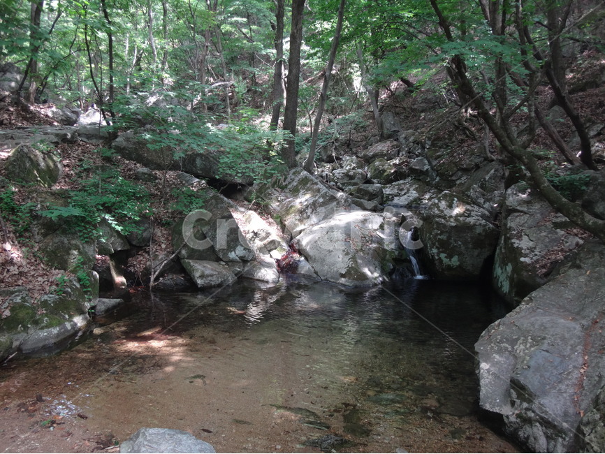 ㅖ곡,바위,산속,숲속,자연,자연,풍경,nature,landscape,water,물,outdoors,옥외,creek,작은 만,stream,흐름