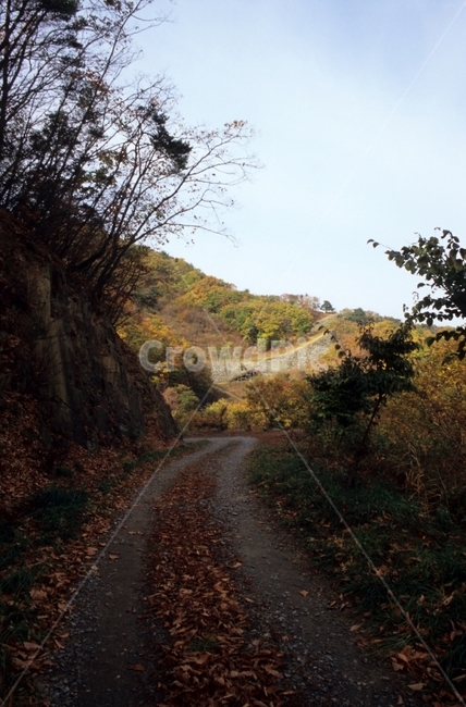 가을,임도,성곽,낙옆,단풍,산길,풍경,scenery,autumn,mountainpath,rampart,fallenleaves,가을,계절,fall,autumn,season,자연,풍경,nature,landscape,gravel,자갈,dirt road,흙길,road,도로